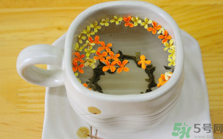 剛摘的桂花可以泡茶嗎？剛摘的桂花能泡茶嗎？