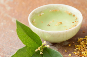 剛摘的桂花可以泡酒嗎？新鮮桂花可以泡酒嗎？