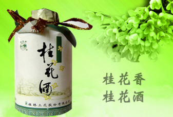 剛摘的桂花可以泡酒嗎？新鮮桂花可以泡酒嗎？