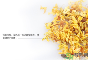 新鮮桂花可以泡水喝嗎？新鮮桂花泡水喝有什么好處？