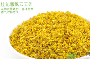 剛摘的桂花有蟲怎么辦？干桂花長蟲怎么辦？
