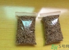 桂花怎么曬干？桂花曬好后可以做什么？