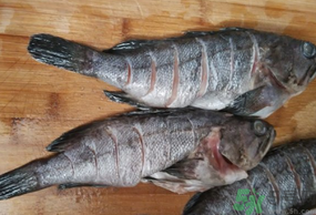 黑魚(yú)怎么洗掉身上的粘液？黑魚(yú)怎么洗才干凈？