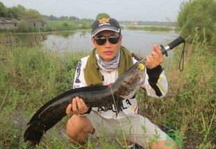 路亞釣黑魚用什么假餌？路亞釣黑魚用什么餌？