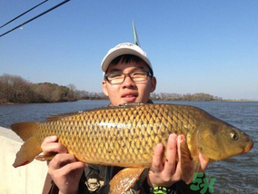 夜釣鯉魚用什么餌料？秋天夜釣鯉魚用什么餌料？