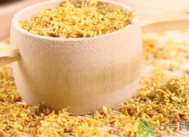 新鮮桂花能泡茶嗎？新鮮怎么處理泡茶？