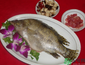 桂魚怎么保存？桂魚放冰箱怎么保存？
