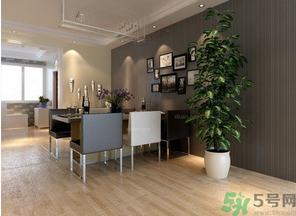 桂花樹可以種在室內(nèi)嗎？桂花樹適合在室內(nèi)嗎？