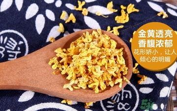 喝桂花茶會上火嗎？喝桂花茶上火怎么辦？