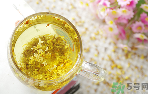 月經期能喝桂花茶嗎？經期能喝桂花茶嗎？