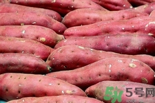 經(jīng)常吃紅薯好嗎？吃紅薯對(duì)身體有什么好處和壞處？