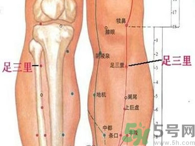 艾灸足三里有什么好處？艾灸足三里的功效
