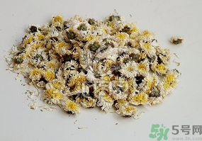 干菊花長蟲怎么辦？干菊花長蟲還能喝嗎？
