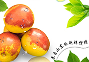 冬棗洗了可以放冰箱嗎？冬棗放冰箱好還是不放冰箱好？