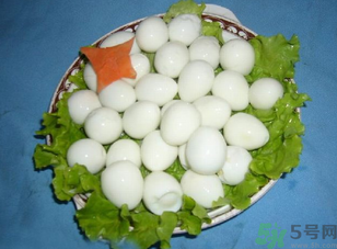 鴿子蛋怎么煮不會破裂?鴿子蛋怎么煮不會破? 鴿子蛋怎么煮不會破裂?鴿子蛋怎么煮不會破?