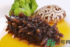 吃海參會上火嗎？經(jīng)常吃海參會上火嗎？