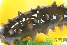 新鮮海參怎么吃最有營(yíng)養(yǎng)？新鮮海參生吃最有營(yíng)養(yǎng)嗎？