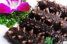 海參的簡單家常做法有哪些?海參的不同吃法 海參的簡單家常做法有哪些?海參的不同吃法