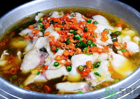 黑魚的營養(yǎng)價值 黑魚的功效與作用 黑魚的營養(yǎng)價值 黑魚的功效與作用