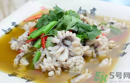 黑魚的營養(yǎng)價值 黑魚的功效與作用 黑魚的營養(yǎng)價值 黑魚的功效與作用