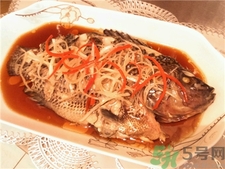 非洲鯽魚的營養價值 非洲鯽魚的功效與作用 非洲鯽魚的營養價值 非洲鯽魚的功效與作用