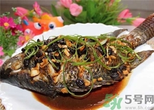 非洲鯽魚的營養價值 非洲鯽魚的功效與作用 非洲鯽魚的營養價值 非洲鯽魚的功效與作用
