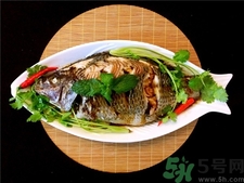 非洲鯽魚的營養價值 非洲鯽魚的功效與作用 非洲鯽魚的營養價值 非洲鯽魚的功效與作用