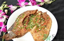 非洲鯽魚的營養價值 非洲鯽魚的功效與作用