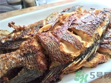 非洲鯽魚的營養價值 非洲鯽魚的功效與作用
