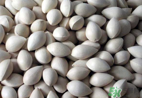 吃白果有什么好處和壞處?吃白果有什么作用? 吃白果有什么好處和壞處?吃白果有什么作用?