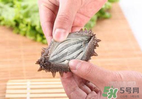 海參肚子里的筋能吃嗎？海參肚子里的筋吃了有什么作用？