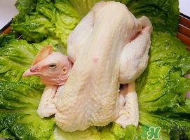雞肉放冷藏還是冷凍?雞肉放冷凍的保質期 雞肉放冷藏還是冷凍?雞肉放冷凍的保質期