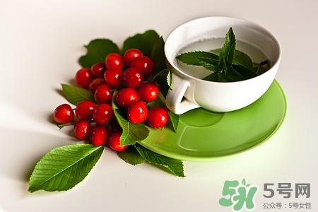 白茶和綠茶哪個更好?白茶和綠茶的區別