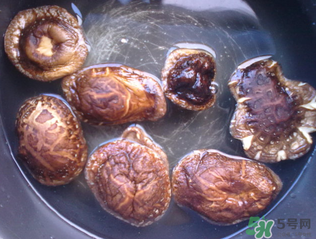 干香菇用什么水泡?干香菇用熱水還是冷水泡? 干香菇用什么水泡?干香菇用熱水還是冷水泡?