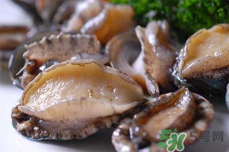 鮑魚能冷凍嗎？鮑魚可以放冰箱冷藏嗎？