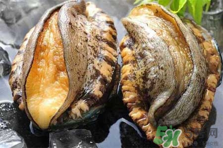 鮑魚能冷凍嗎？鮑魚可以放冰箱冷藏嗎？
