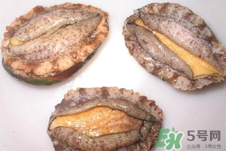 鮑魚能冷凍嗎？鮑魚可以放冰箱冷藏嗎？