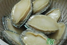 鮑魚死后可以放幾天？鮑魚死后多久不能吃？