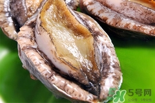 新鮮鮑魚可以放多久？活鮑魚怎樣存放時間更長？