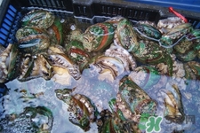 男人吃鮑魚能補腎嗎？腎虛能吃鮑魚嗎？