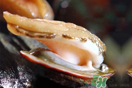 男人吃鮑魚能補腎嗎？腎虛能吃鮑魚嗎？