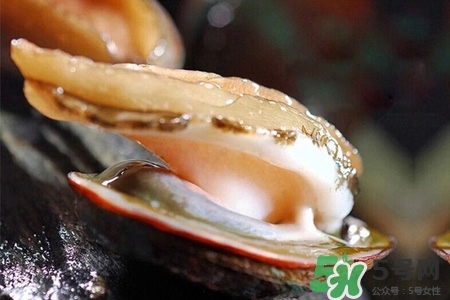 鮑魚(yú)一次最多吃幾個(gè)？鮑魚(yú)吃多了有什么不好的？