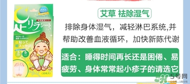 樹之惠足貼5款區別？樹之惠足貼哪款好用？