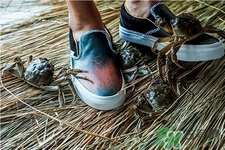vans與acu合作款鞋子在哪可以買？vans與acu合作款鞋子上市發售時間
