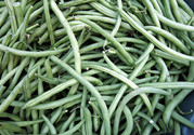 豇豆和豆角一樣嗎?豇豆和豆角的區別
