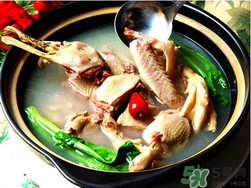 鴨肉和柿子能一起吃嗎?吃完鴨肉可以吃柿子嗎? 鴨肉和柿子能一起吃嗎?吃完鴨肉可以吃柿子嗎?