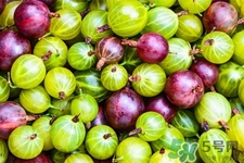 燈籠果一天吃幾個最好？燈籠果什么時候吃最好？