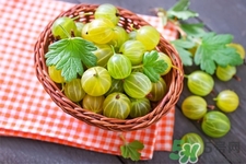 燈籠果一天吃幾個最好？燈籠果什么時候吃最好？