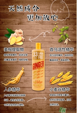 露華濃生姜洗發水真假 露華濃生姜洗發水真假辨別