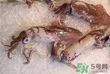 墨魚的營養價值 墨魚的功效與作用